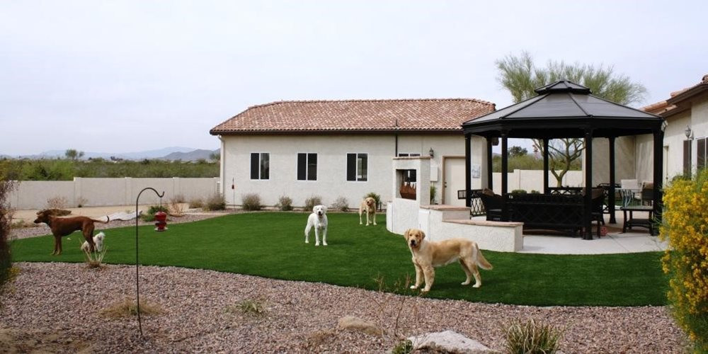 Kennewick artificial turf for dogs